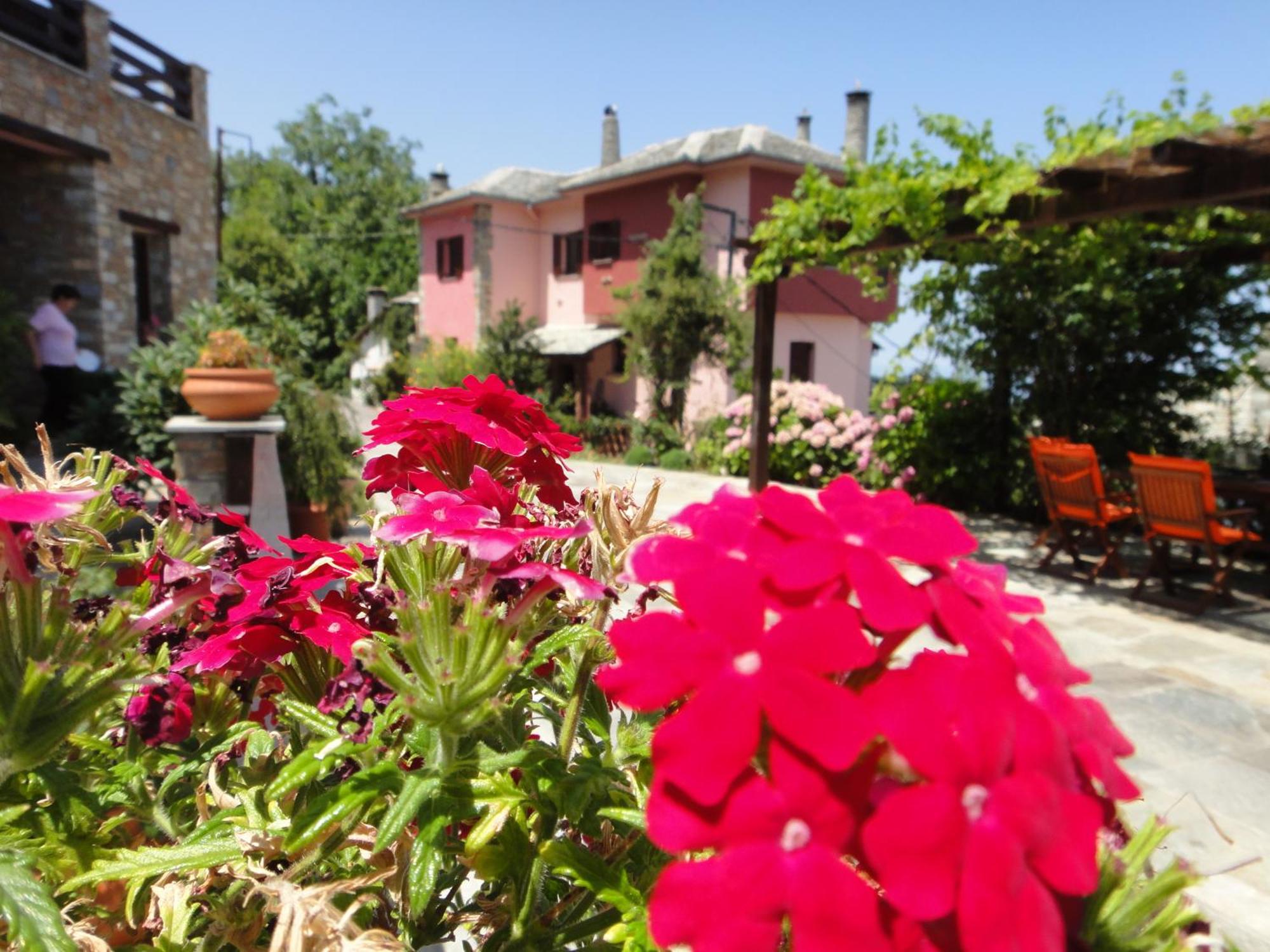 Guesthouse Iris Tsagarada Zewnętrze zdjęcie