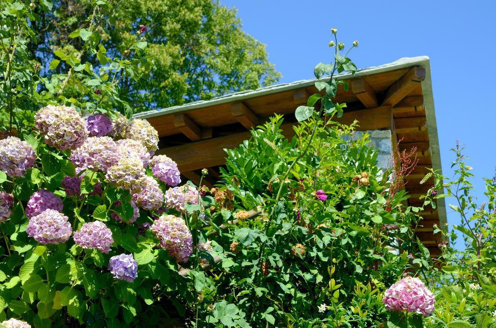 Guesthouse Iris Tsagarada Zewnętrze zdjęcie