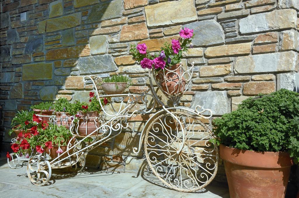 Guesthouse Iris Tsagarada Zewnętrze zdjęcie