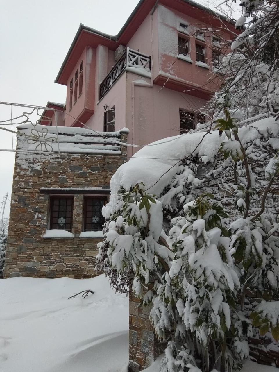 Guesthouse Iris Tsagarada Zewnętrze zdjęcie